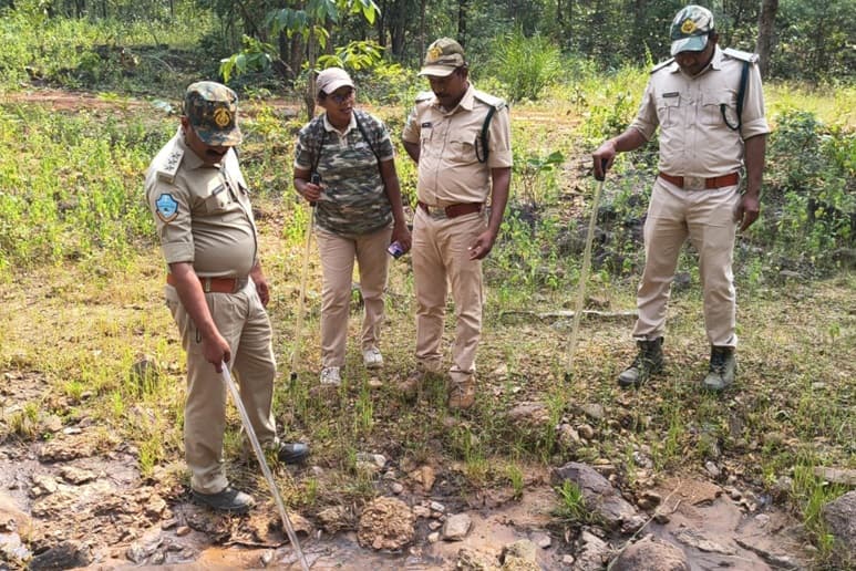 Tiger In Adilabad: ఆదిలాబాద్ జిల్లా ప్రజలను హడలెత్తిస్తున్న పులులు.. గ్రామాల్లో డప్పు చాటింపు