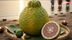 Chhath Puja 2025: पूजा की टोकरी में इन 7 फलों का होना जरूरी, छठी मैया के प्रिय फलों के बिना अधूरा रहेगा पर्व