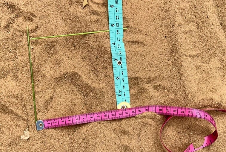 Tiger In Adilabad: ఆదిలాబాద్ జిల్లా ప్రజలను హడలెత్తిస్తున్న పులులు.. గ్రామాల్లో డప్పు చాటింపు