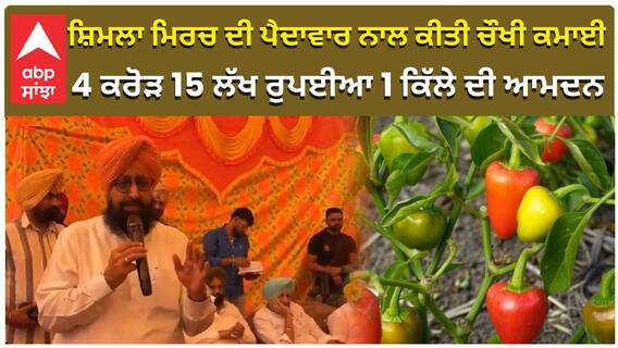 ਸ਼ਿਮਲਾ ਮਿਰਚ ਦੀ ਪੈਦਾਵਾਰ ਨਾਲ ਕੀਤੀ ਚੌਖੀ ਕਮਾਈ,   4 ਕਰੋੜ 15 ਲੱਖ ਰੁਪਈਆ 1 ਕਿੱਲੇ ਦੀ ਆਮਦਨ,