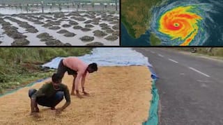 Gujarat Unseasonal Rains Live: દક્ષિણ ગુજરાત અને સૌરાષ્ટ્રમાં કમોસમી વરસાદ વરસ્યો, માવઠાથી કપાસ-ડાંગરના ખેડૂતો થયાં બરબાદ