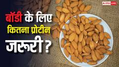 कितना प्रोटीन इनटेक हो जाता है बॉडी में हद से ज्यादा प्रोटीन, इससे सेहत को कितनी हो सकती है दिक्कत?