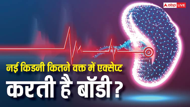 ट्रांसप्लांट के बाद शरीर को एक्सेप्ट करने में कितना वक्त लेती है किडनी? जानें हर बात ट्रांसप्लांट के बाद शरीर को एक्सेप्ट करने में कितना वक्त लेती है किडनी? जानें हर बात