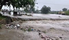 Amreli Rain: અતિભારે કમોસમી વરસાદથી રાજુલામાં જળપ્રલયની સ્થિતિ, જુઓ તસવીરો