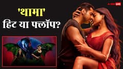 'थामा' ने 2025 की इन 2 फिल्मों को पटका, 6 दिन में ही बजट भी वसूला