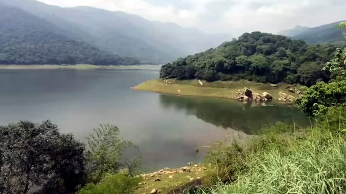 Tamil Nadu Weather Update: நெல்லையில் தொடர்ந்த கனமழை: அணைகளில் நீர் பெருக்கு, சுற்றுலா பயணிகளுக்கு கடும் எச்சரிக்கை