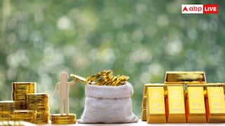 Digital Gold Investment: 'ਡਿਜੀਟਲ ਗੋਲਡ 'ਚ ਵੱਡਾ ਖ਼ਤਰਾ', ਇਸ 'ਚ ਨਿਵੇਸ਼ ਕਰਨ ਵਾਲਿਆਂ ਨੂੰ ਸੇਬੀ ਵੱਲੋਂ ਸਖ਼ਤ ਚੇਤਾਵਨੀ; ਬੋਲੇ- ਇਸ 'ਚ ਭਾਰੀ Risk...