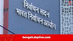 একদিকে ছাত্র পড়ানো- খাতা দেখা, SIR-এর 'গুরু দায়িত্ব' BLO-দের ঘাড়েই