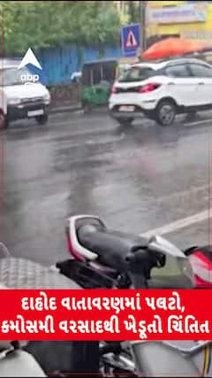 Dahod Rain: દાહોદ વાતાવરણમાં પલટો, કમોસમી વરસાદથી ખેડૂતો ચિંતિત