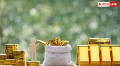 ਭਾਰਤ ਦੇ ਇਨ੍ਹਾਂ ਸੂਬਿਆਂ ਕੋਲ ਸਭ ਤੋਂ ਜ਼ਿਆਦਾ ਸੋਨਾ, ਧਰਤੀ ਹੇਠਾਂ ਲੁਕੀ ਅਰਬਾਂ ਦੀ ਜਾਇਦਾਦ