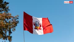 पेरू में कमाए 50 हजार तो भारत में हो जाएंगे इतने, जानें करेंसी का पूरा हिसाब और नौकरी के मौके!