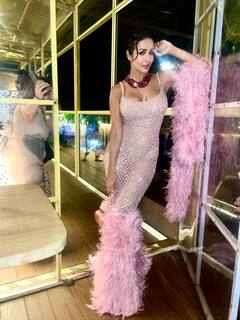 3 टियर केक, रेड बैलून और शैंपेन...मलाइका ने बेटे- बहन संग मनाया अपने 50वें बर्थडे का जश्न, शेयर की Inside तस्वीर