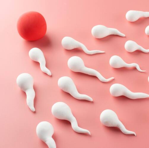 ਅਨਾਰ-ਅਨਾਰ ਵਿੱਚ ਐਂਟੀਆਕਸੀਡੈਂਟ, ਵਿਟਾਮਿਨ, ਖਣਿਜ ਅਤੇ ਫਾਈਬਰ ਵਰਗੇ ਲਾਭਦਾਇਕ ਤੱਤ ਹੁੰਦੇ ਹਨ। ਇਹ ਆਦਮੀਆਂ ਵਿੱਚ ਟੈਸਟੋਸਟਰੋਨ ਦੀ ਮਾਤਰਾ ਵਧਾਉਂਦਾ ਹੈ, ਜਿਸ ਨਾਲ ਸਪਰਮ ਗਿਣਤੀ ਵਧਦੀ ਹੈ। ਅਨਾਰ ਵਿੱਚ ਮੌਜੂਦ ਐਂਟੀਆਕਸੀਡੈਂਟ ਸਪਰਮ ਦੇ ਡੀ.ਐਨ.ਏ. ਦੀ ਰੱਖਿਆ ਕਰਦੇ ਹਨ।