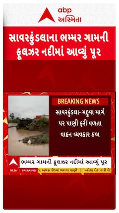 Amreli Rain: સાવરકુંડલાના ભમ્મર ગામની ફૂલઝર નદીમાં આવ્યું પૂર
