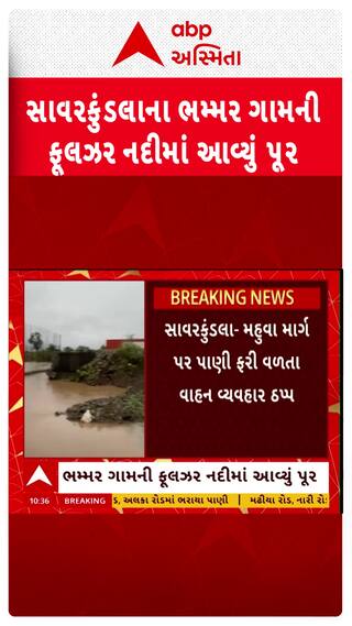 Amreli Rain: સાવરકુંડલાના ભમ્મર ગામની ફૂલઝર નદીમાં આવ્યું પૂર