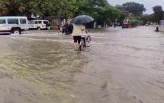Rain Forecast: અરબ સાગરમાં ડિપ્રેશન એક્ટિવ, 5 દિવસ વરસાદની આગાહી, 26 જિલ્લામાં એલર્ટ