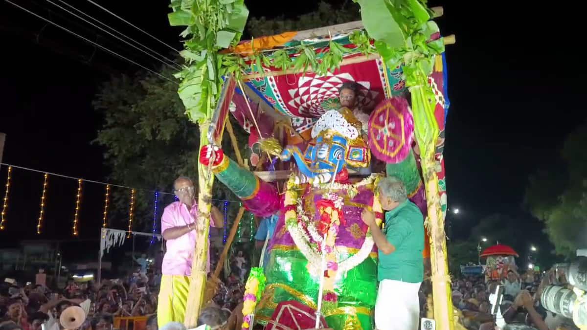 பழனியில் கந்த சஷ்டி: சூரசம்ஹாரம் கோலாகலம்! ஆயிரக்கணக்கான பக்தர்கள் தரிசனம், நாளை திருக்கல்யாணம்!