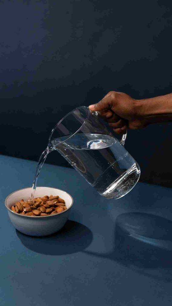 मूंगफली या बादाम... किस चीज में ज्यादा होता है प्रोटीन?