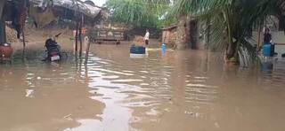 ભાવનગરમાં માવઠાનો કહેર: મહુવા તાલુકામાં 11 ઈંચથી વધુ વરસાદથી જળબંબાકાર, 351 ડાયવર્ઝન ધોવાતા વાહનવ્યવહાર ઠપ્પ, ગામો સંપર્ક વિહોણા