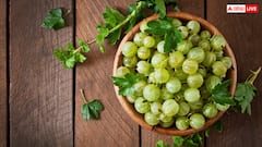 किचन गार्डन में कैसे उगा सकते हैं आंवला? यहां जान लें बेहद आसान तरीका