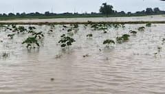 Rain Forecast : વાતાવરણમાં પલટો, 30 ઓક્ટોબર સુધી આ રાજ્યોમાં ભારે વરસાદનું IMDનું એલર્ટ