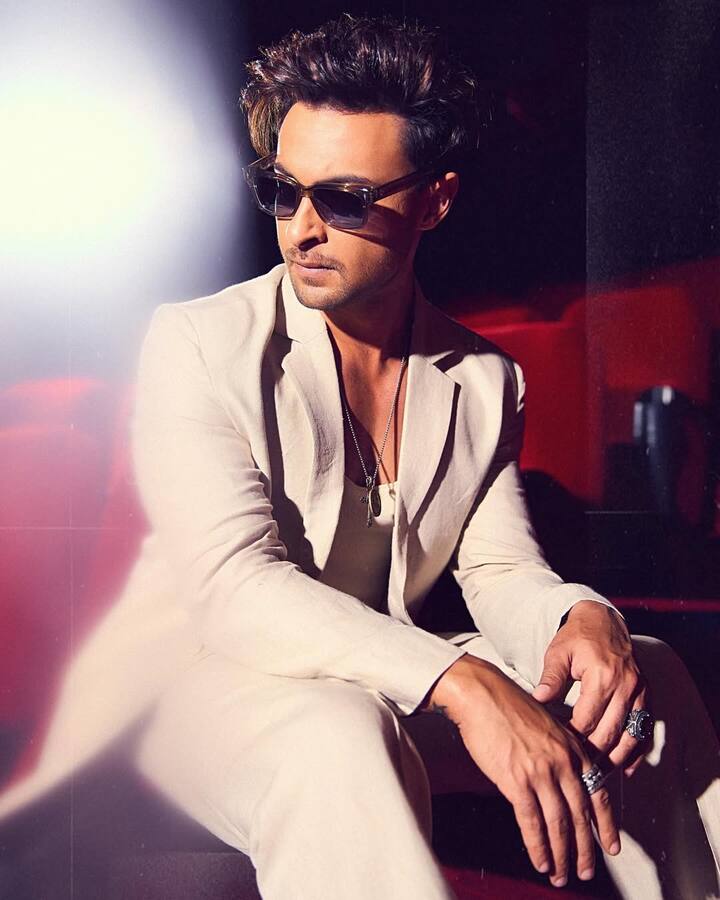 जिसके बाद वो 'अंतिम: द फाइनल ट्रुथ' (2021) और 'रुस्लान' (2024) जैसी फिल्मों में नजर आए