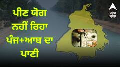 ਹੈਰਾਨੀਜਨਕ ! ਪੀਣ ਯੋਗ ਨਹੀਂ ਰਿਹਾ ਪੰਜ+ਆਬ ਦਾ ਪਾਣੀ, ਹਰ ਘੁੱਟ ਲਜਾ ਰਹੀ ਬਿਮਾਰੀਆਂ ਦੇ ਨੇੜੇ, 461 ਨਮੂਨੇ ਹੋਏ ਫੇਲ੍ਹ