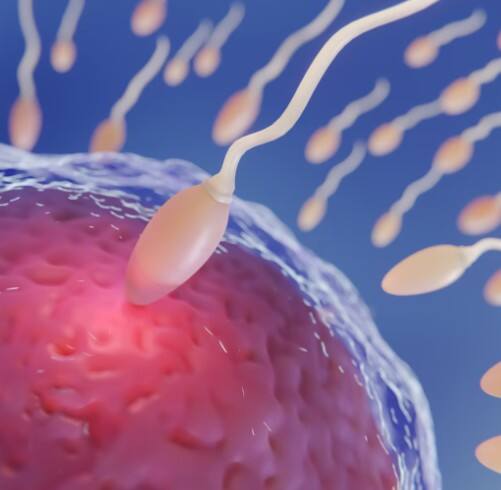 ਹਰੀਆਂ ਸਬਜ਼ੀਆਂ-ਪਾਲਕ, ਸੋਆ, ਮੇਥੀ, ਬਥੂਆਂ ਵਰਗੀਆਂ ਹਰੀ ਸਬਜ਼ੀਆਂ ਜ਼ਰੂਰ ਖਾਣੀਆਂ ਚਾਹੀਦੀਆਂ ਹਨ। ਇਨ੍ਹਾਂ ਸਬਜ਼ੀਆਂ ਵਿੱਚ ਫੋਲੇਟ ਹੁੰਦਾ ਹੈ, ਜੋ ਸਪਰਮ ਦੇ ਉਤਪਾਦਨ ਨੂੰ ਵਧਾਉਣ ਵਿੱਚ ਮਦਦ ਕਰਦਾ ਹੈ।