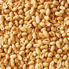 Benefits Of Groundnut: अंडी नाही, काजू नाही... 'शेंगदाणेच' आहेत प्रोटीन पॉवरहाऊस!