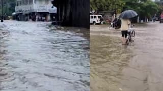 Bhavnagar Rain: મહુવામાં 12 કલાકમાં 11 ઈંચ વરસાદથી જળબંબાકાર, સોસાયટીઓમાં ભરાયા પાણી