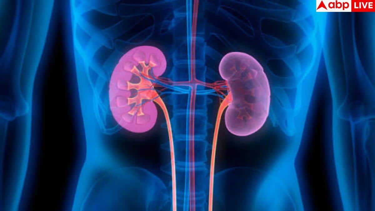 Which Habits Harm Kidney Health: सुबह-सुबह की ये 5 गंदी आदतें बर्बाद कर सकती हैं आपकी किडनी, जिंदगीभर याद रखना सीनियर यूरोलॉजिस्ट की यह सलाह