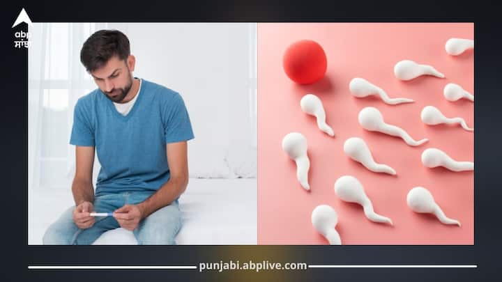 ਅੱਜਕੱਲ ਬਹੁਤ ਸਾਰੇ ਆਦਮੀ ਬਾਂਝਪਨ ਦੀ ਸਮੱਸਿਆ ਨਾਲ ਜੂਝ ਰਹੇ ਹਨ, ਜਿਸ ਦਾ ਮੁੱਖ ਕਾਰਣ ਸਪਰਮ ਦੀ ਗਿਣਤੀ ਦਾ ਘੱਟ ਹੋਣਾ ਹੈ। ਗਲਤ ਖੁਰਾਕ, ਤਣਾਅ, ਧੂਮਰਪਾਨ ਅਤੇ ਮੋਟਾਪਾ ਇਸ ਸਮੱਸਿਆ ਨੂੰ ਹੋਰ ਵਧਾ ਦਿੰਦੇ ਹਨ।
