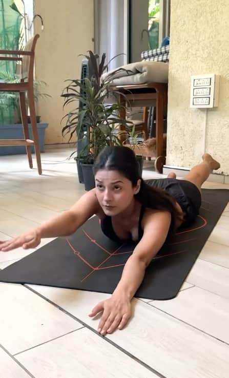 शहनाज के घर में एक बड़ी सी बालकनी भी है. यहां उन्होंने कई सारे पौधे और सीटिंग एरिया भी बनाया है.