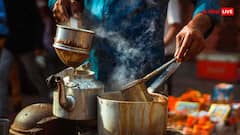 चाय बनाने का परफेक्ट तरीका, जानें एक अच्छी चाय के लिए कितनी चायपत्ती है सही?