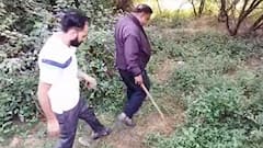 अंबाला के धुलकोट गांव में तेंदुआ दिखने पर हंगामा, एयरफोर्स और पुलिस ने पूरी रात छाना इलाका