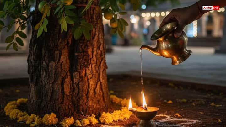 इस दिन आंवले के वृक्ष के चारों ओर गंगाजल का छिड़काव करें और घी का दीपक जलाएं. साथ ही वृक्ष की कपूर और घी के दीपक से आरती करें और 108 बार परिक्रमा करें. इसके बाद आंवला के वृक्ष के नीचे ब्राह्मण, गरीब व जरूरतमंद लोगों को भोजन कराएं. साथ ही खुद भी वृक्ष के नीचे भोजन करें. ऐसा करने से भगवान विष्णु और माता लक्ष्मी का आशीर्वाद प्राप्त होती है.