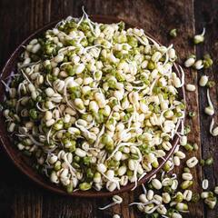 Benefits of Sprouts : मोड आलेल्या मुगाचे 'हे' आहेत आरोग्यदायी फायदे, जाणून घ्या