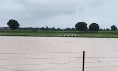 Rain Forecast: રાજ્યના આ જિલ્લામાં આજે વરસાદની આગાહી, હવામાન વિભાગે જાહેર કર્યું એલર્ટ