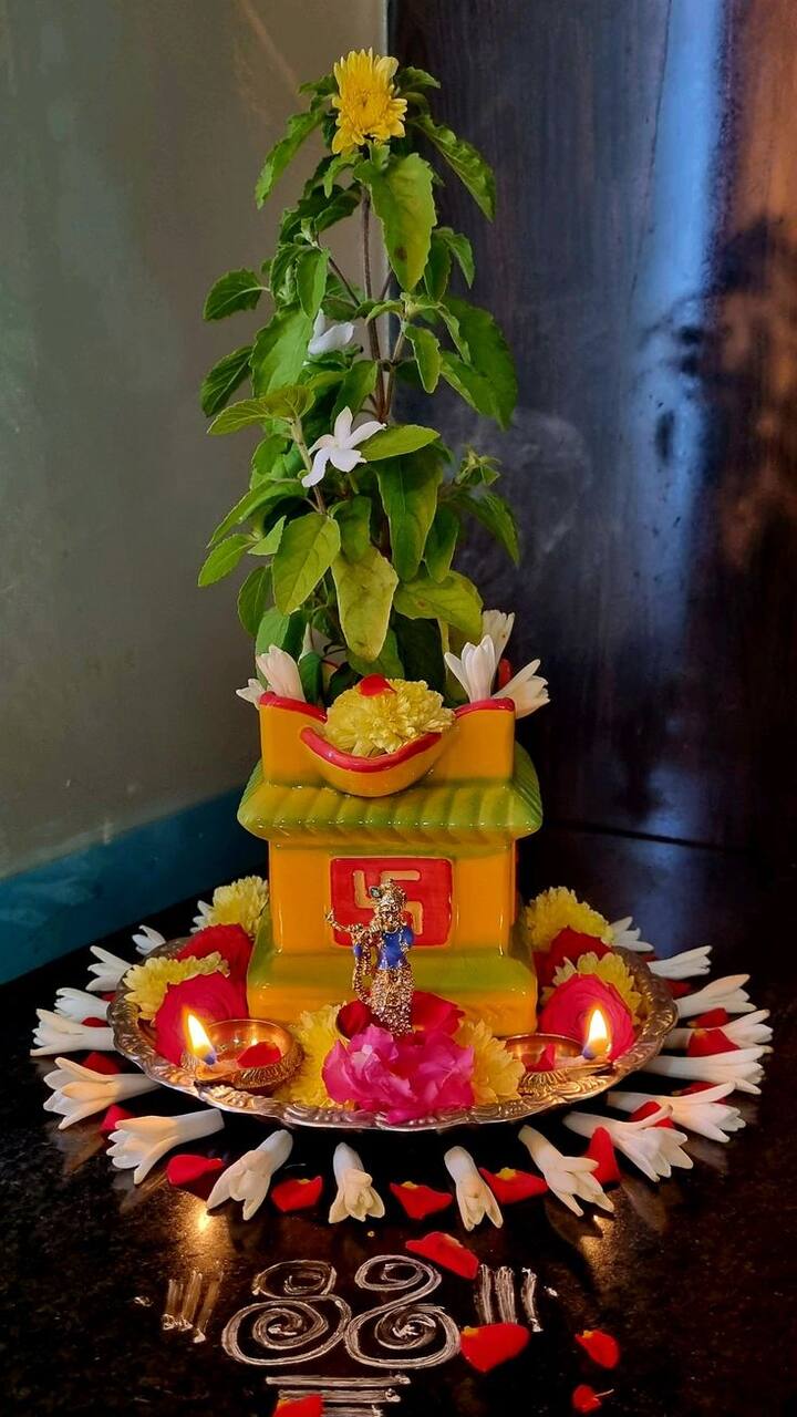 वास्तुनुसार,तुळशीजवळ काटेरी झाडे ठेवू नयेत, कारण यामुळे घरात गरिबी आणि भांडणं वाढू शकतात.