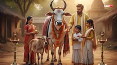 Dev Uthani Ekadashi 2025: कार्तिक मास का यह पुण्य सप्ताह, देवोत्थान से लेकर तुलसी विवाह तक मनाए जाएंगे,  जानें सही तिथि