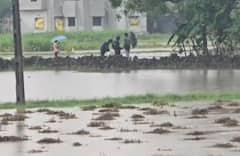 ગીર સોમનાથના સૂત્રાપાડામાં ચોથા દિવસે માવઠાનો માર, સાત ઈંચ વરસાદથી ખેતરો જળબંબાકાર