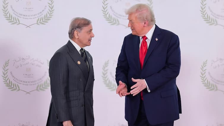 Ex-Pakistani Diplomat Mocks Shehbaz Sharif’s Praise For Donald Trump; Shashi Tharoor Reacts Ex-Pakistani Diplomat Mocks Shehbaz Sharif’s Praise For Donald Trump; Shashi Tharoor Reacts