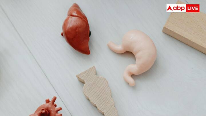 इस बलगम के साथ पेट में बाइकार्बोनेट भी होता है. यह एसिड के बढ़ जाने पर उसे निष्क्रिय करता है. बलगम और बाइकार्बोनेट मिलकर एक संतुलित माहौल तैयार करते हैं जो पाचन को सक्षम करते हुए टिशु की रक्षा करता है.