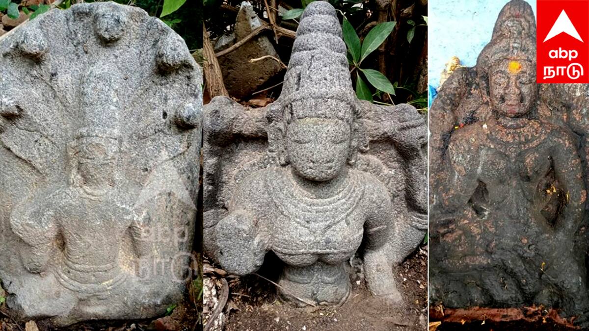 விழுப்புரம் அருகே சோழர் கால வைஷ்ணவி, கௌமாரி, புத்தர் சிலைகள் கண்டுபிடிப்பு! வியக்க வைக்கும் வரலாறு!