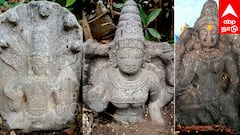 விழுப்புரம் அருகே சோழர் கால வைஷ்ணவி, கௌமாரி, புத்தர் சிலைகள் கண்டுபிடிப்பு! வியக்க வைக்கும் வரலாறு!