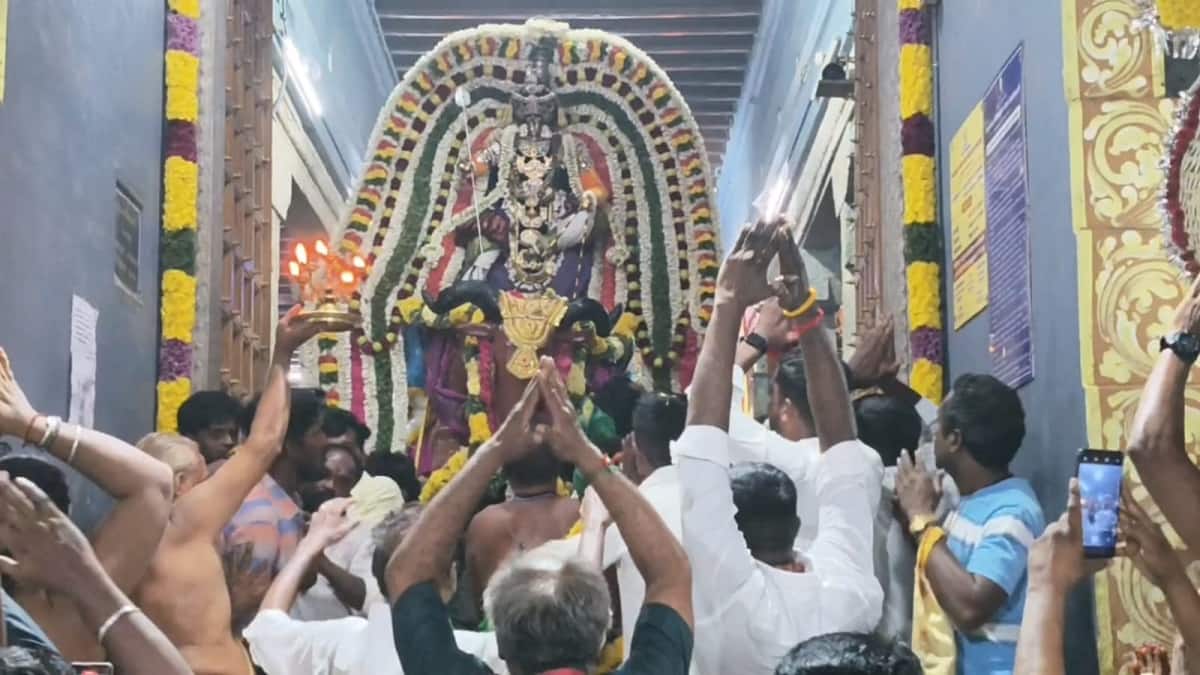 தஞ்சாவூரில் கந்த சஷ்டி: சூரசம்ஹாரம் கோலாகலம்! ஆயிரக்கணக்கான பக்தர்கள் தரிசனம்! திருக்கல்யாண வைபவம்!