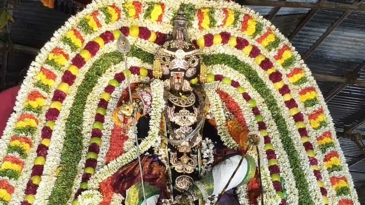 தஞ்சாவூரில் கந்த சஷ்டி: சூரசம்ஹாரம் கோலாகலம்! ஆயிரக்கணக்கான பக்தர்கள் தரிசனம்! திருக்கல்யாண வைபவம்!