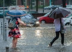 Gujarat Rain: આગામી 7 દિવસ તૂટી પડશે ધોધમાર વરસાદ, જાણો હવામાન વિભાગની લેટેસ્ટ આગાહી