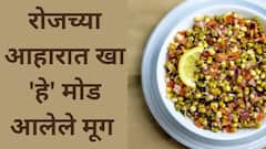 Benefits of Sprouts : मोड आलेल्या मुगाचे 'हे' आहेत आरोग्यदायी फायदे, जाणून घ्या