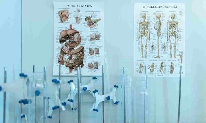 चीन में एमबीबीएस कोर्स का समय छह साल होता है. जिसमें 5 साल पढ़ाई और 1 साल इंटर्नशिप शामिल होते हैं. यहां पर स्कॉलरशिप प्रोग्राम्स है जिससे पढ़ाई और भी सस्ती हो जाती है. यहां एडमिशन के लिए फिजिक्स, केमिस्ट्री और बायोलॉजी में 50 प्रतिशत मार्क्स जरूरी होते हैं.यहां का कुल खर्च करीब 29 से 30 लाख रुपये आता है और इंटर्नशिप पर भारत में भी वैध मानी जाती है.